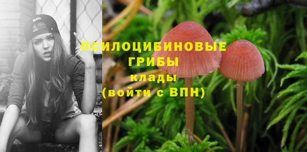 мдпв Алексин
